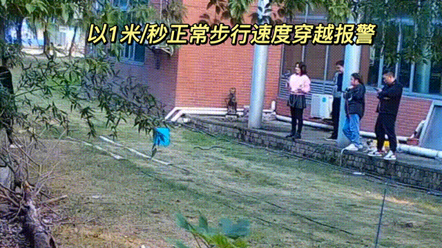 5.gif