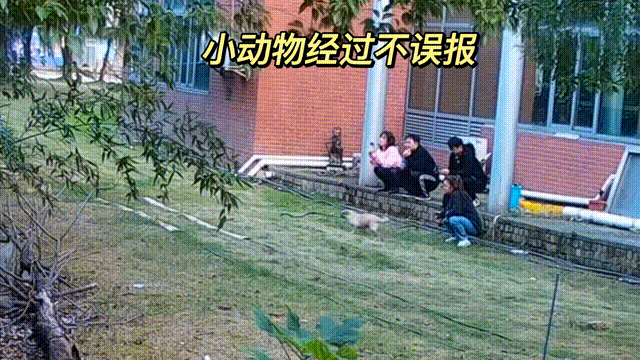 8.gif