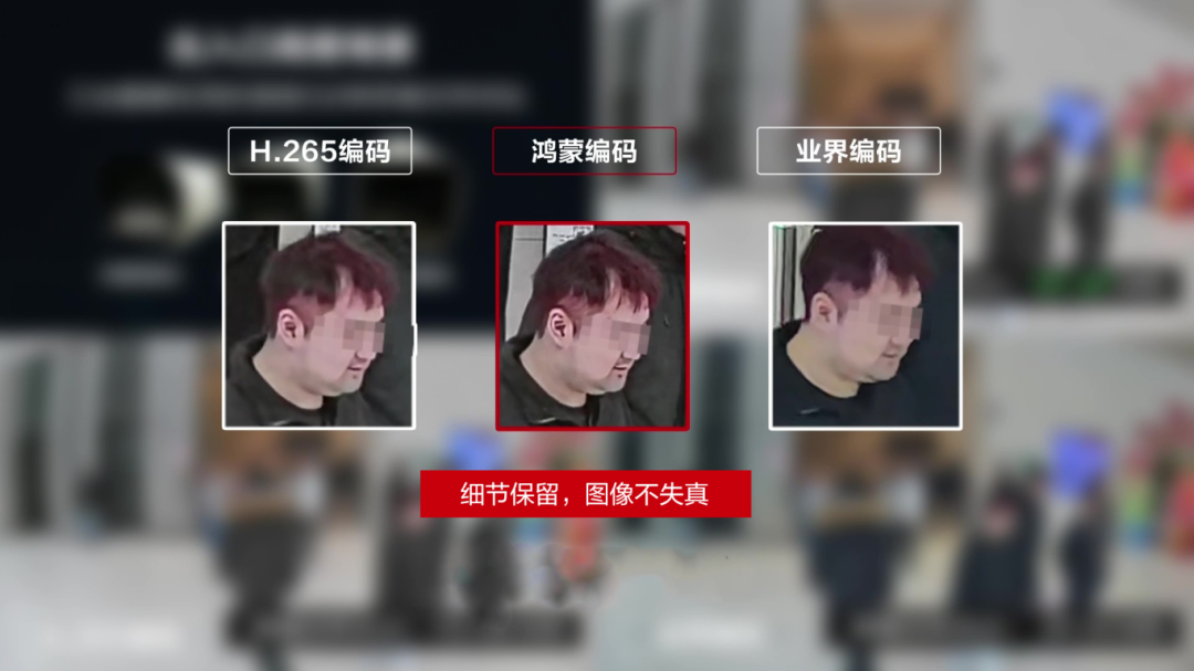 1775030797.png 2.png