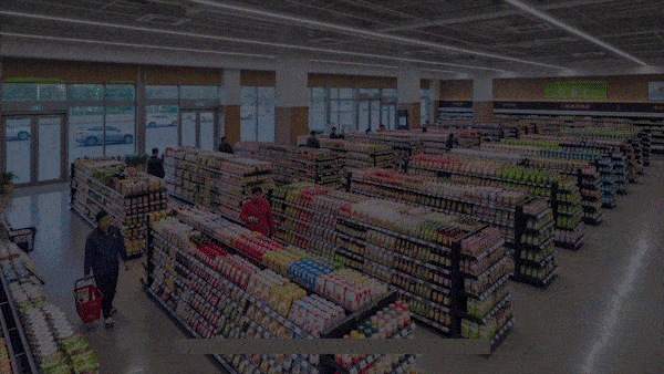 1775030913.gif 4.gif